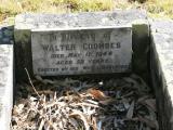 image of grave number 774054